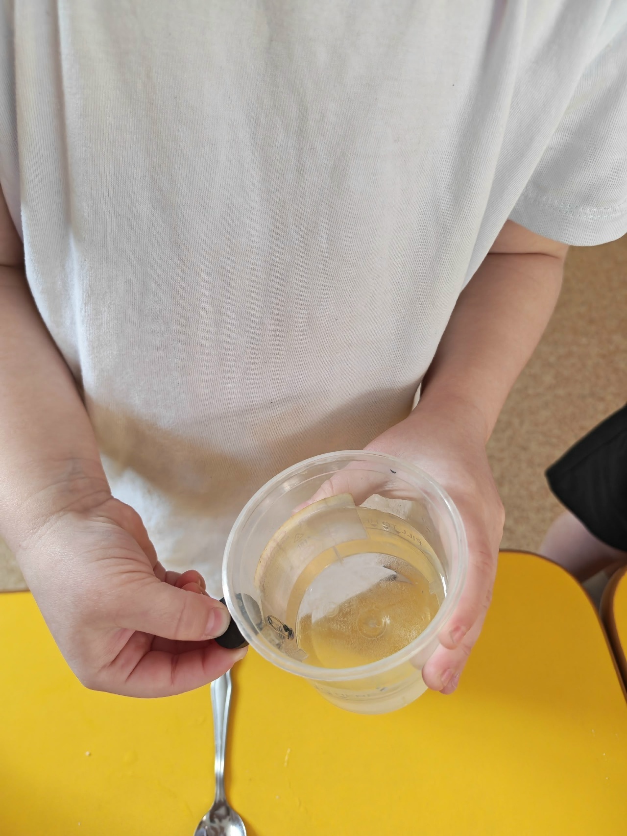 Тәбиғәттә бөтә нәмә үҙ-ара бәйләнештә