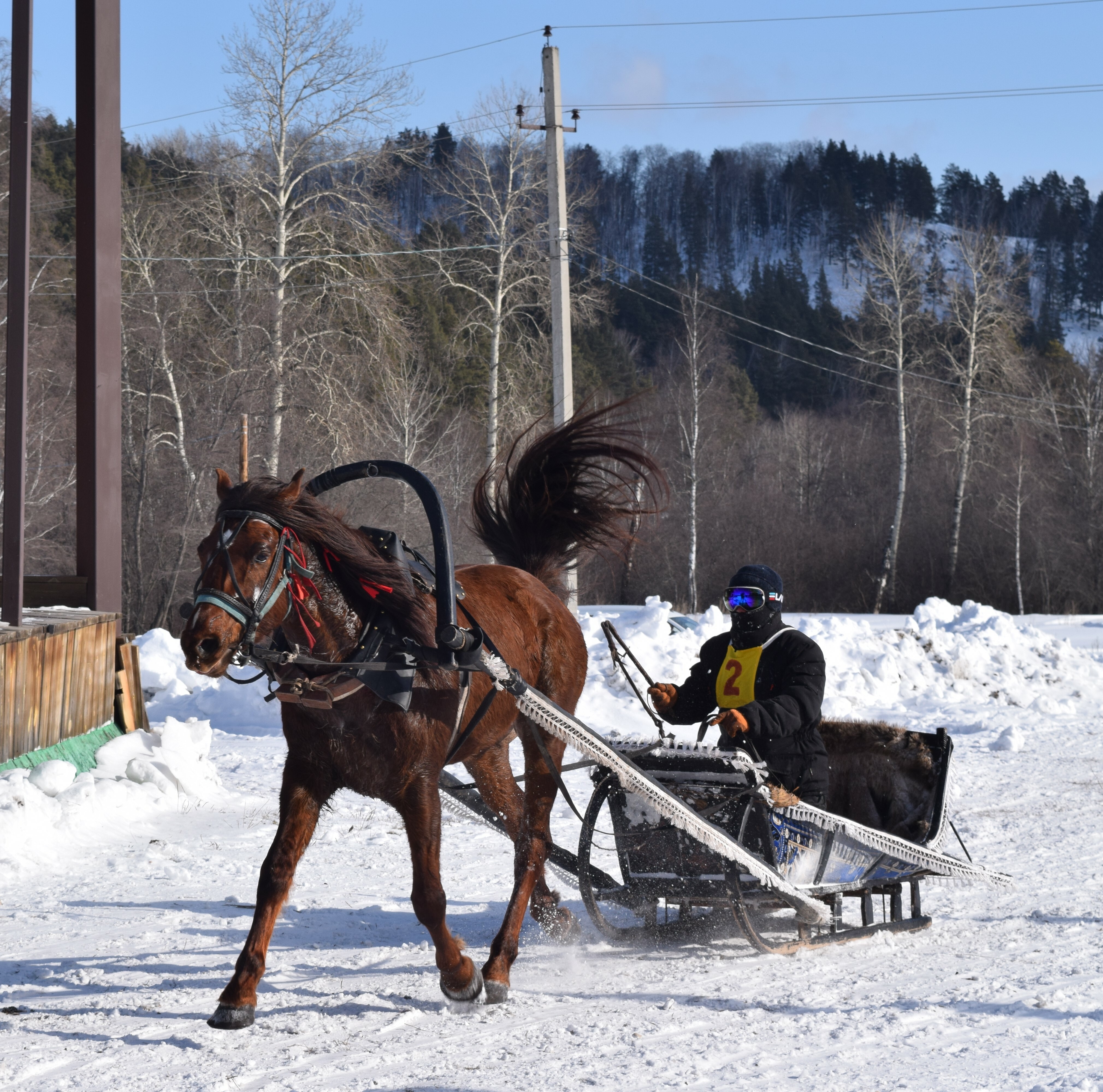 Бөрйәндә атлы-саналы ярыштар үткән