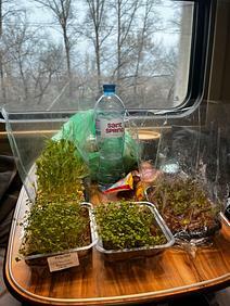 Стәрлебаш ҡыҙҙары Бөтә Рәсәй конкурсында икенсе урын алды