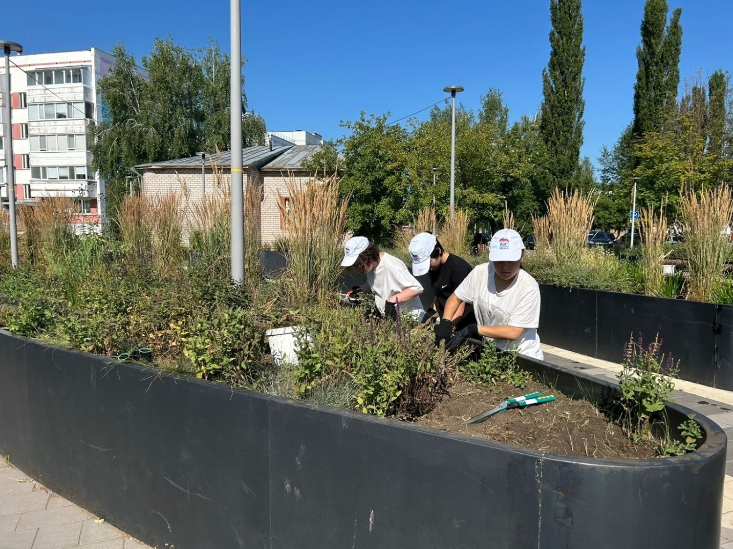 Үҫмерҙәр эшкә сыға