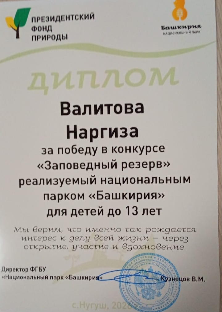 Ялым файҙалы башланды