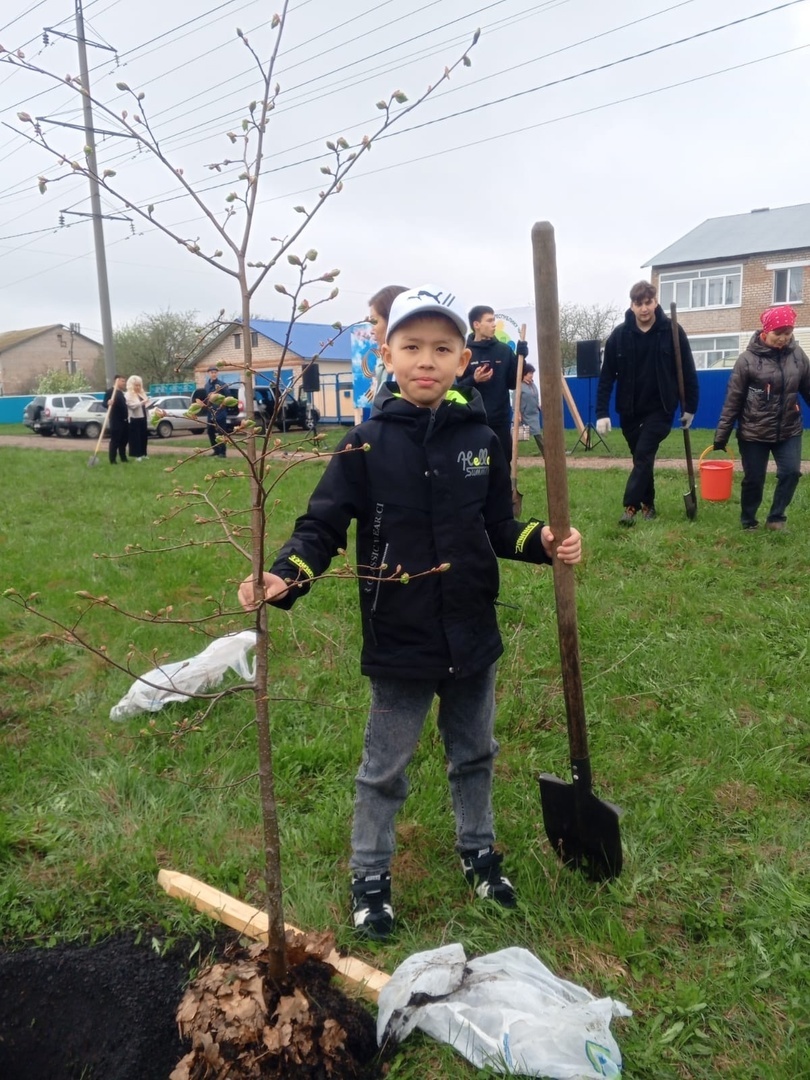 Ағас ултырттыҡ