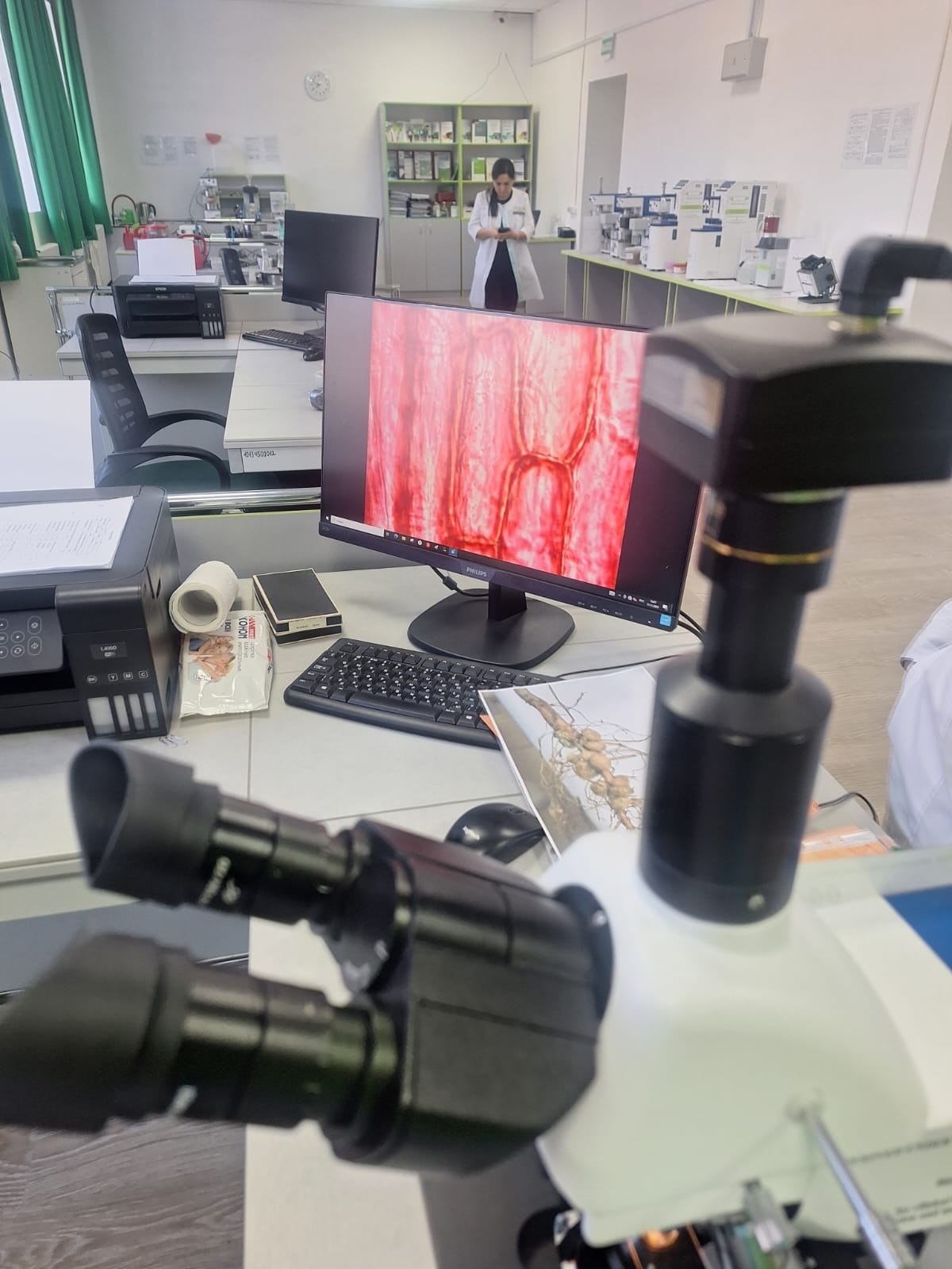 Аксен колледжында биотехнологиялар ҡулланыласаҡ