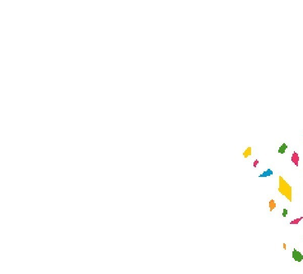 10 Февраль - өй эйәһенең тыуған көнө