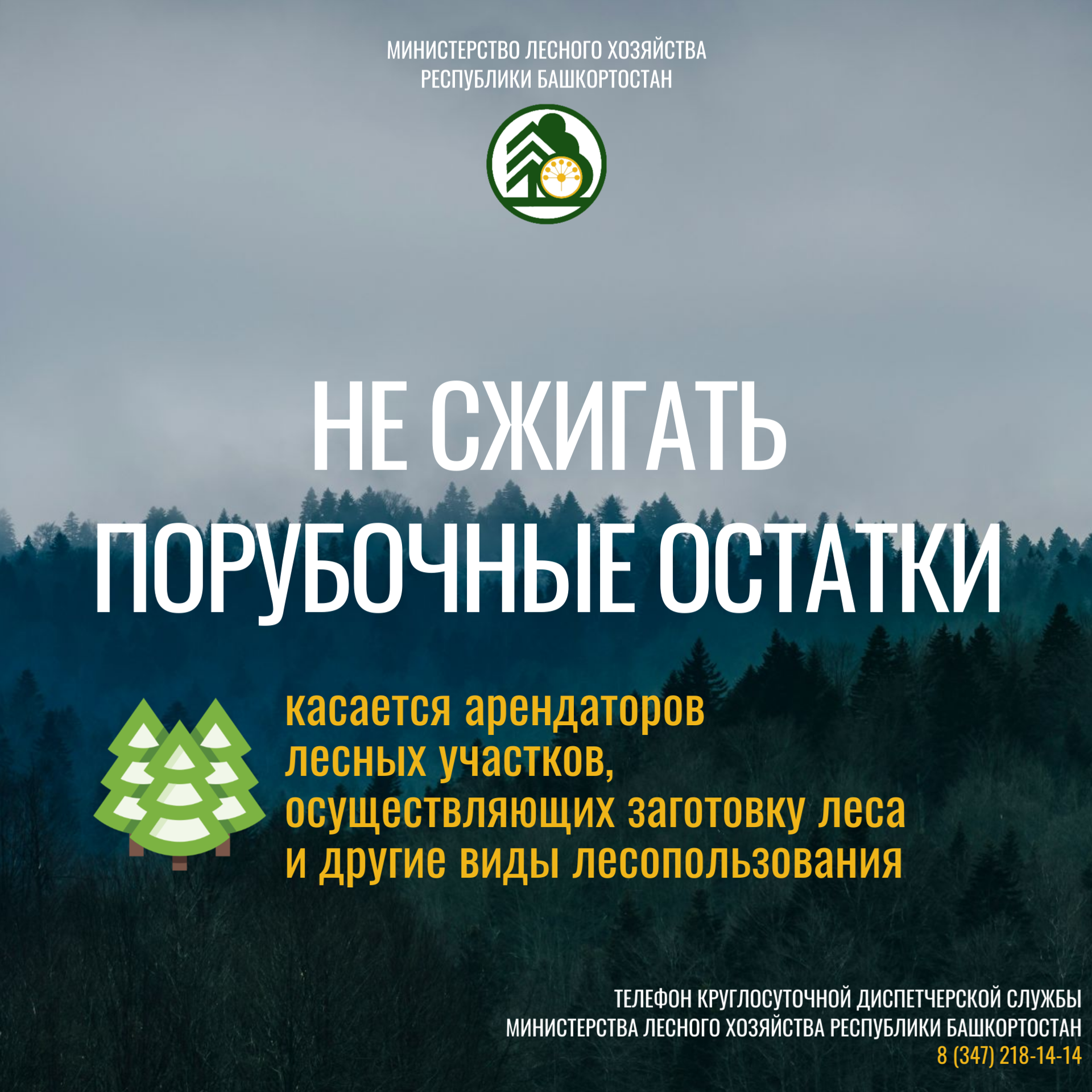 Урмандарыбыҙ - киләсәгебеҙ