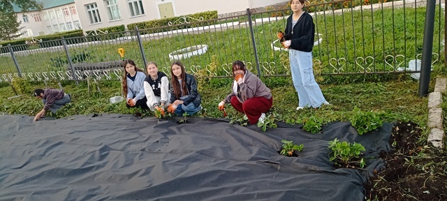 Дәүләкән лицей-интернатында уҡыусылар еләк ултыртҡан