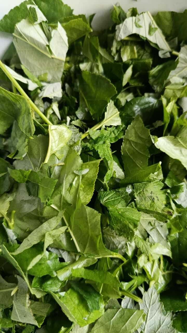 Япраҡ сәйе тәмле була