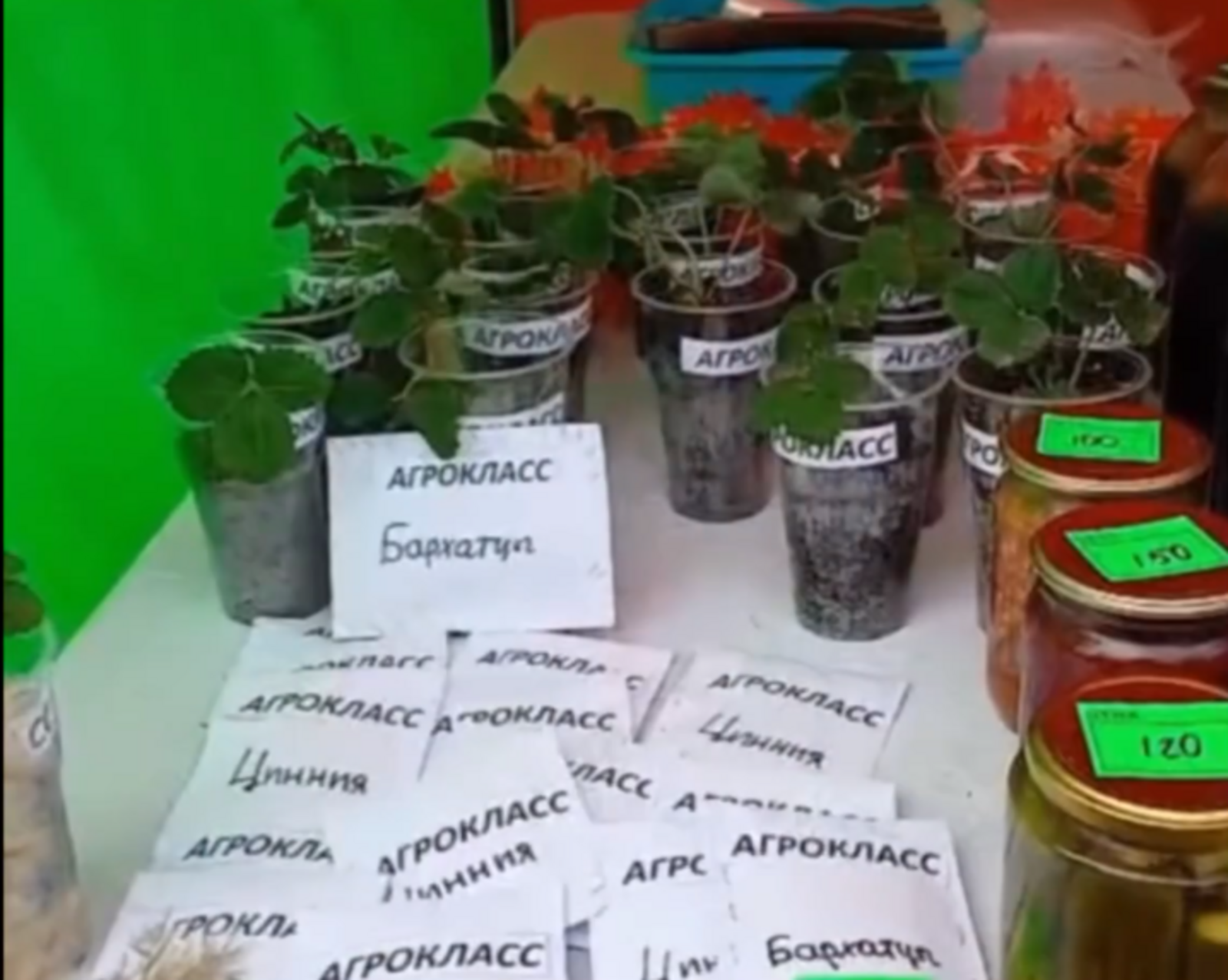 Абҙан уҡыусылары йәрминкәлә ҡатнашҡан