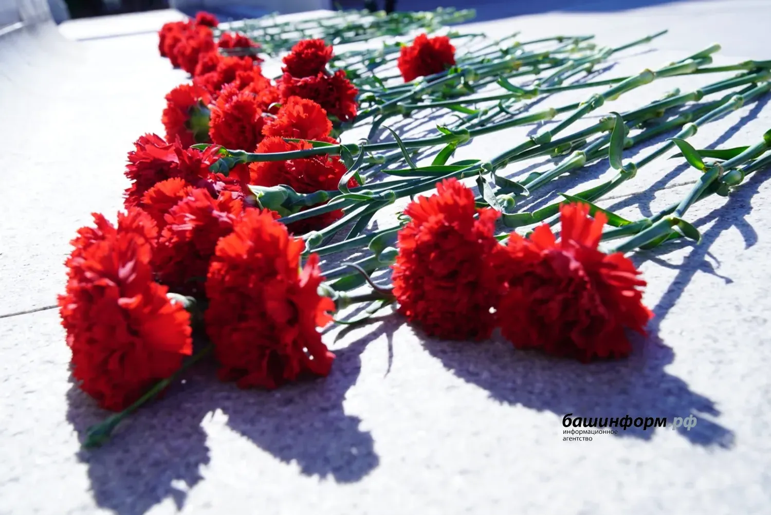 Башҡортостан Башлығы Шайморатов һәйкәленә сәскәләр һалды