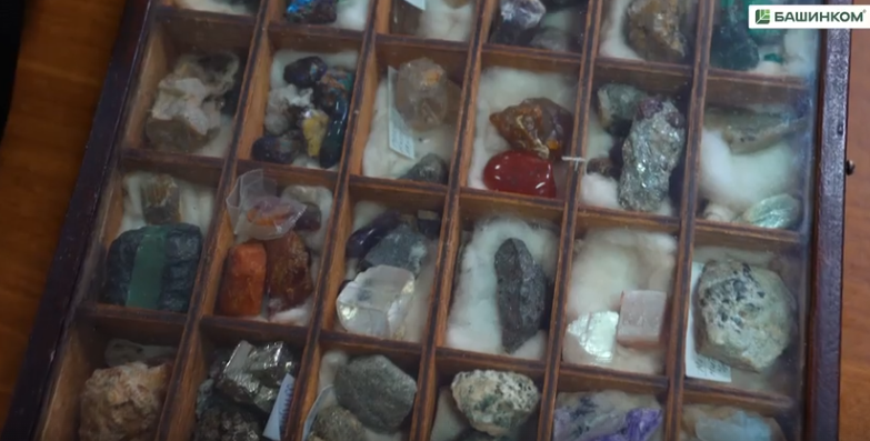 Йәнле мөйөшкә балалар ылыға