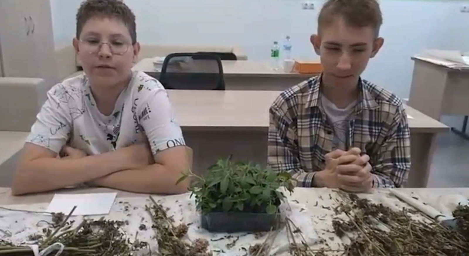 Тимур менән Артур нисек итеп монарда үҫтергән