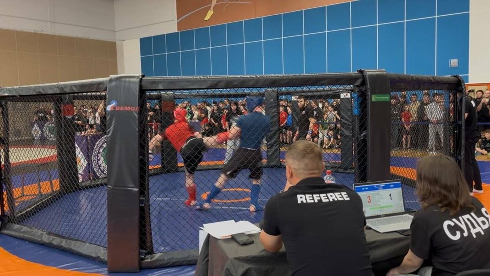 Благовещенда панкратионсылар алышты