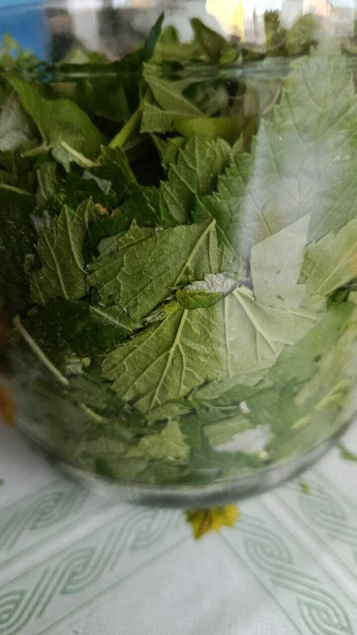 Япраҡ сәйе тәмле була