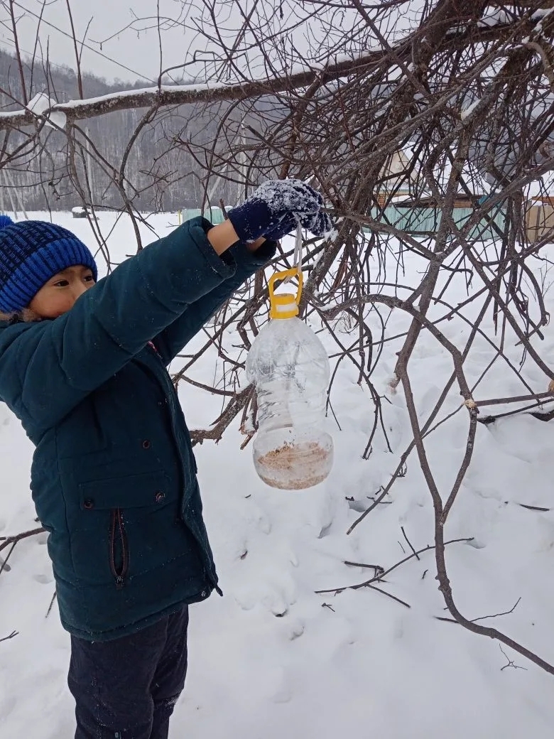 Нуриман ҡоштарҙы хәстәрләй