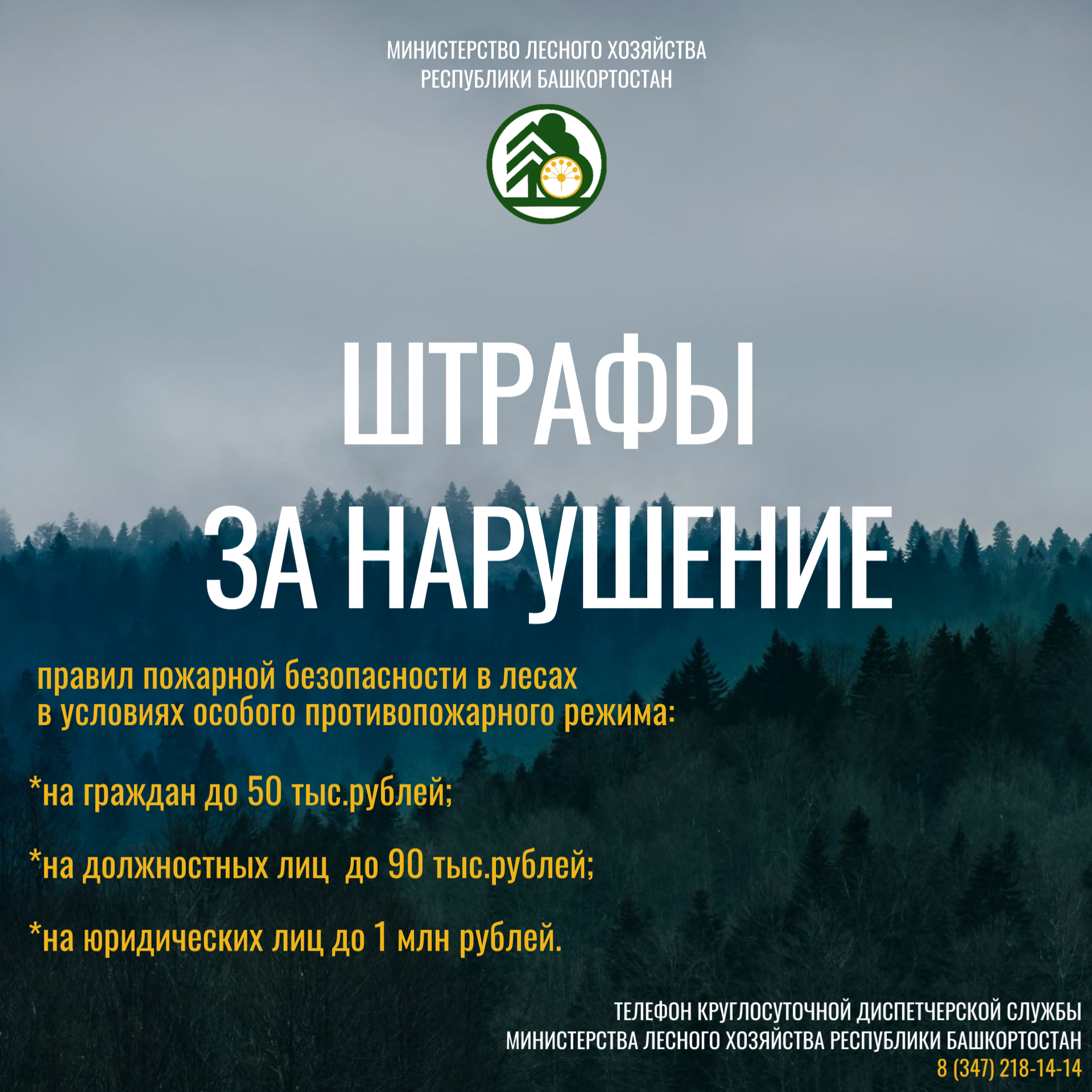 Урмандарыбыҙ - киләсәгебеҙ