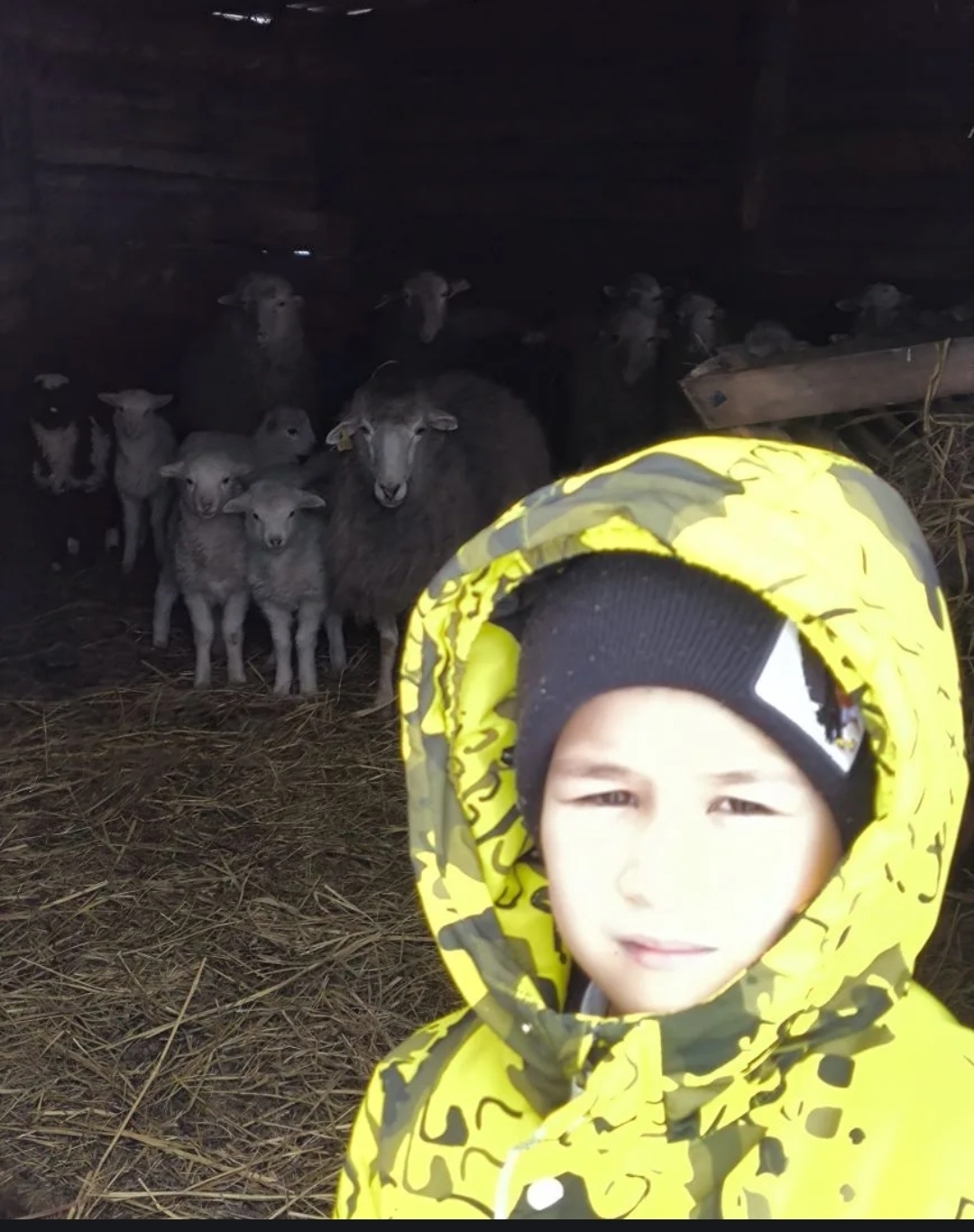 Ҡышҡы каникулда