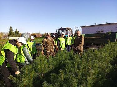 Йәш урмансылар һынатманы