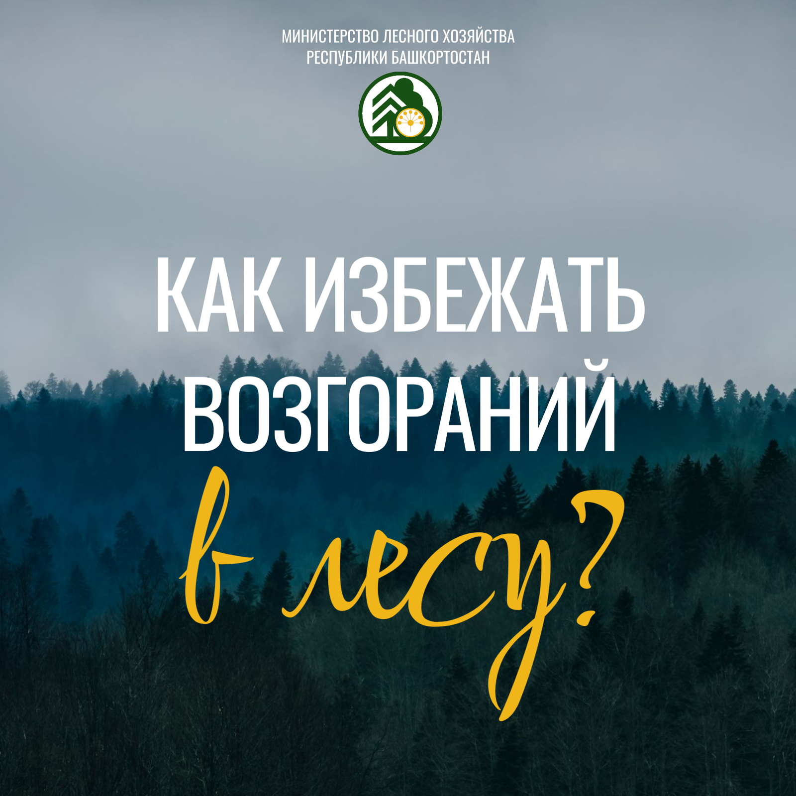 Урмандарыбыҙ - киләсәгебеҙ