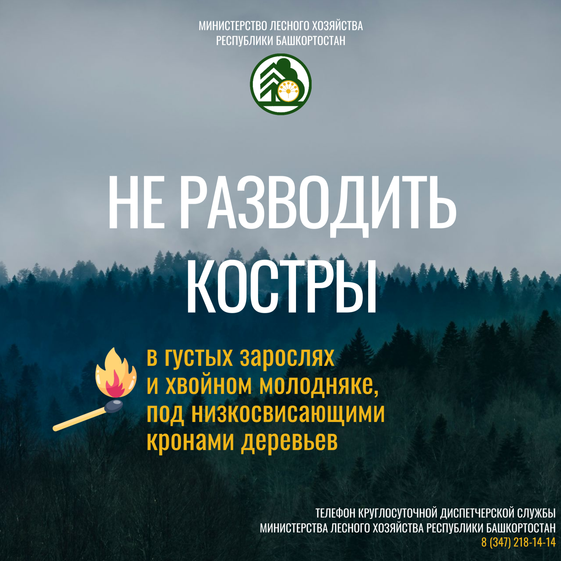 Урмандарыбыҙ - киләсәгебеҙ