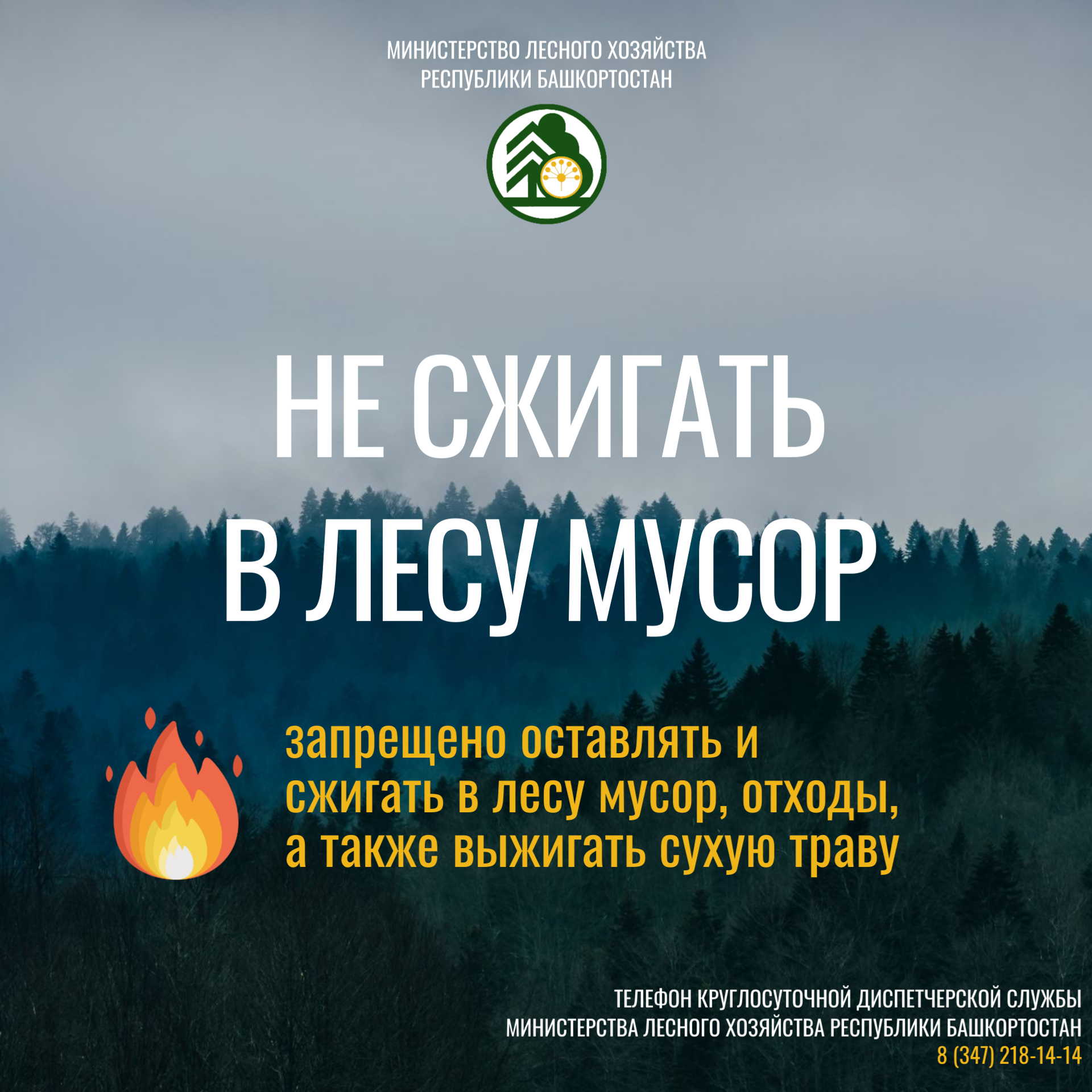 Урмандарыбыҙ - киләсәгебеҙ