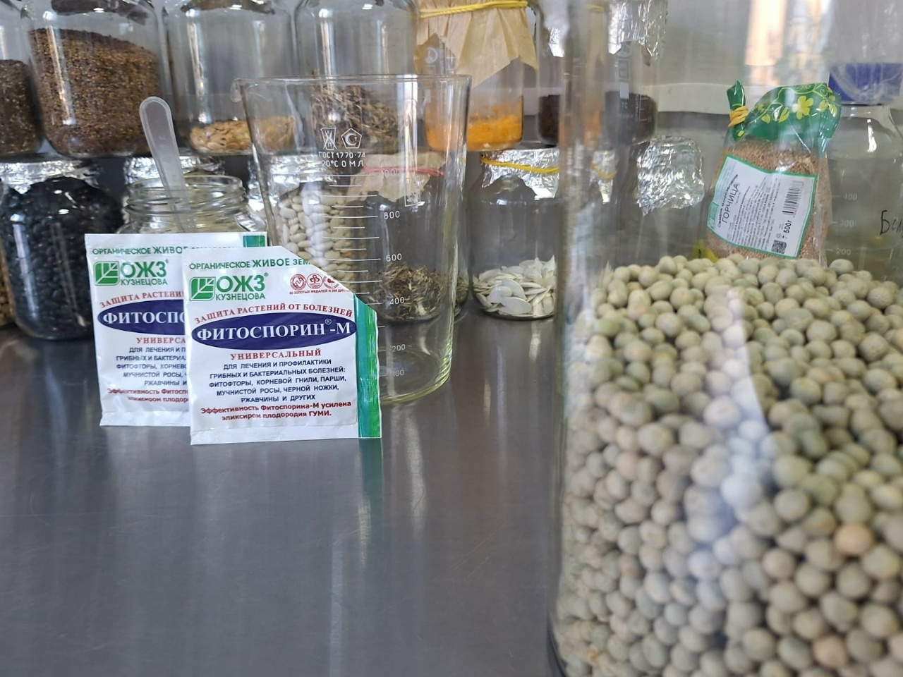 Аксен колледжында биотехнологиялар ҡулланыласаҡ