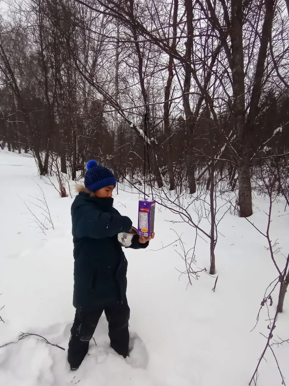 Нуриман ҡоштарҙы хәстәрләй