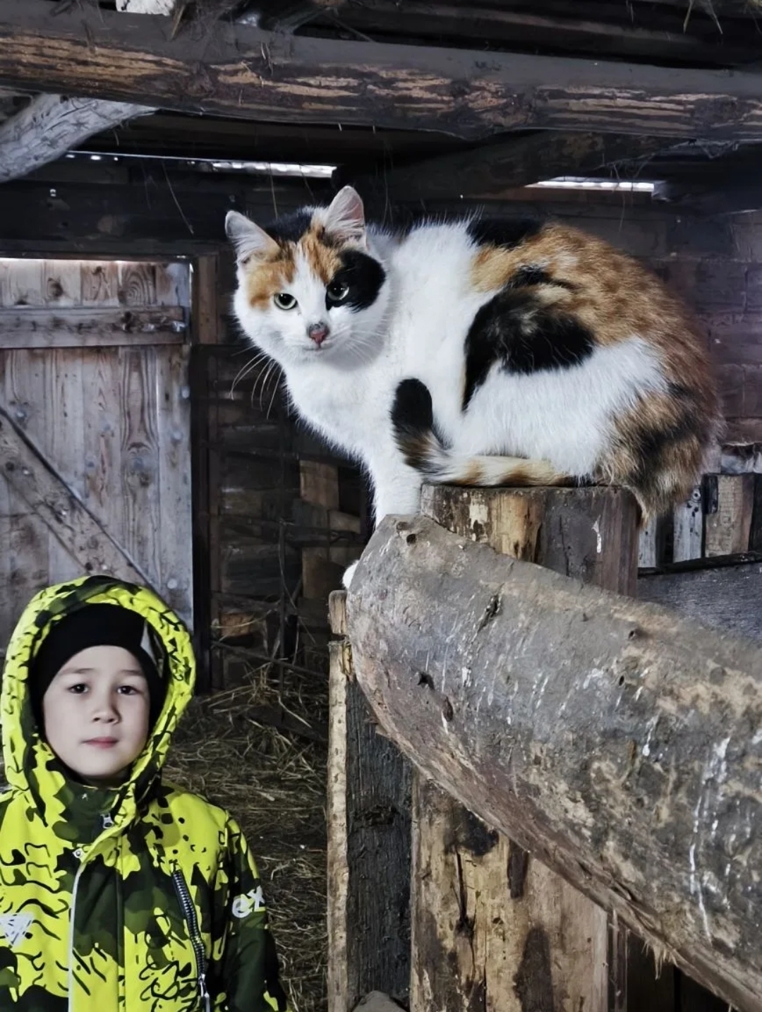 Ҡышҡы каникулда