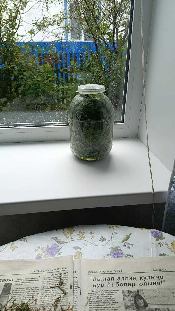 Япраҡ сәйе тәмле була